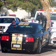 Illustration for article titled Stolen Mustang GT-H Recovered, Six Months Later